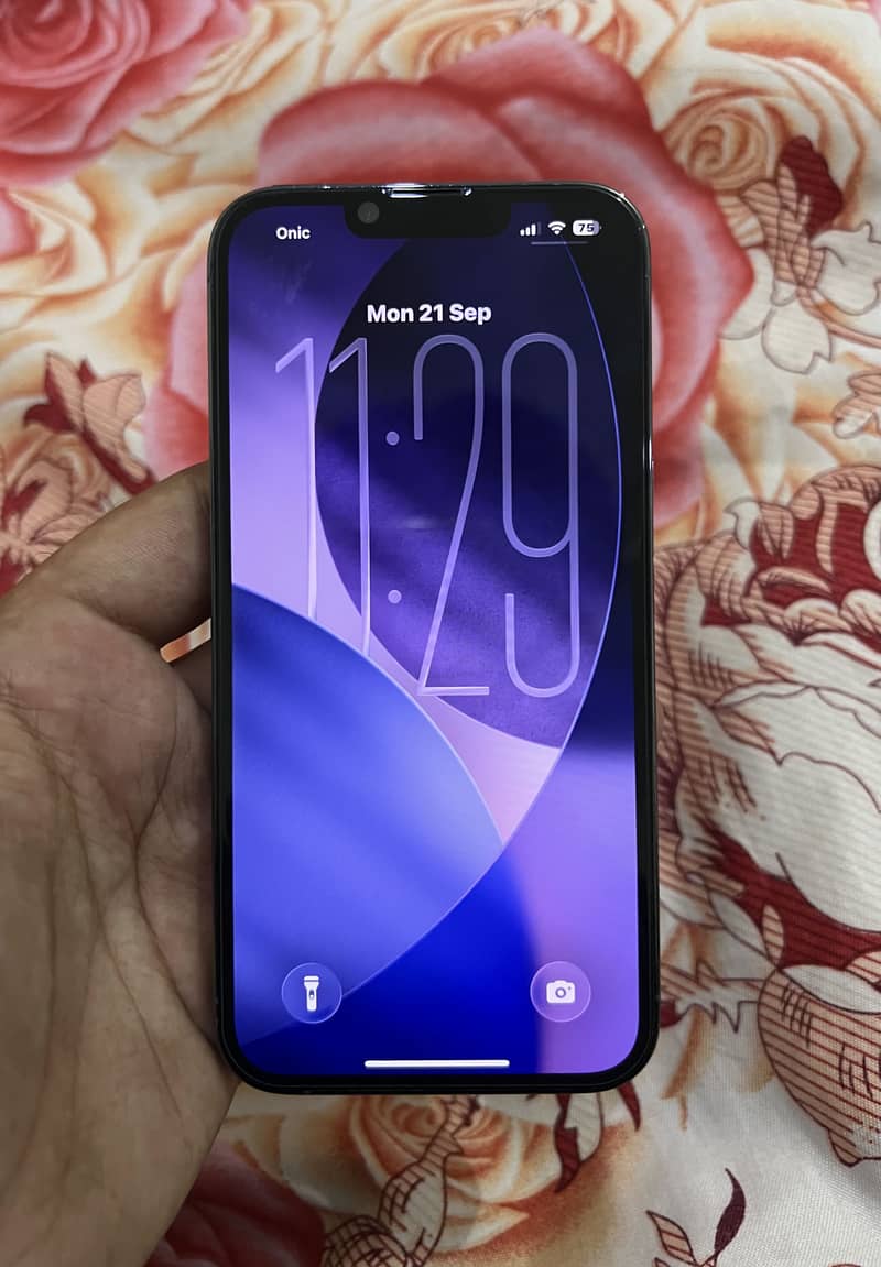 Apple iPhone 13 Pro 4