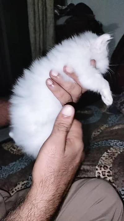 2male 3 female