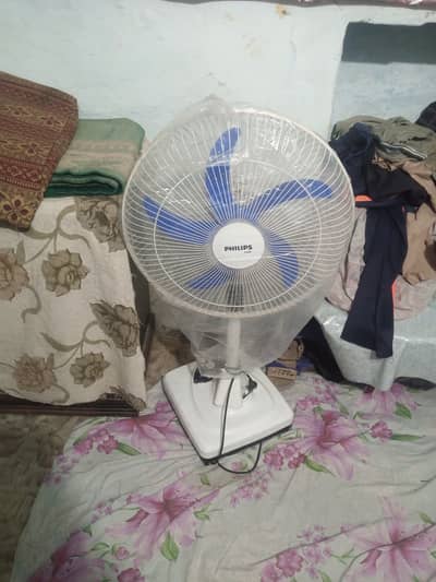 New fan sale