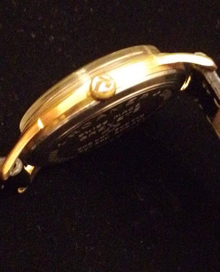 ROAMER ANFIBIO 3