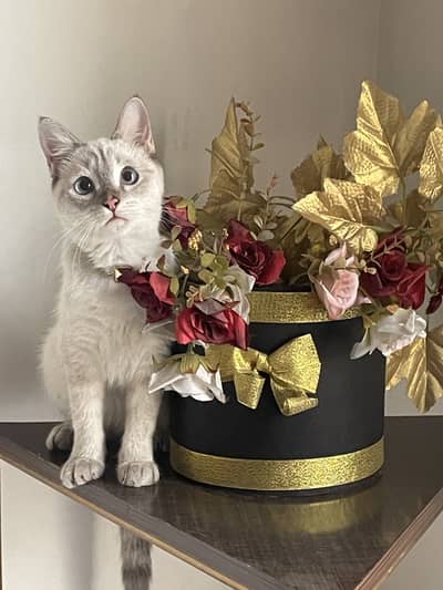 My baby luna