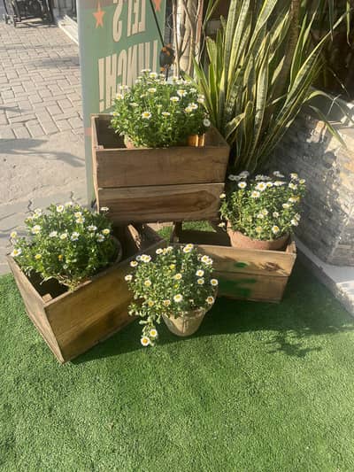 Solid Wood Planter Pots for Home Decor & Plants
