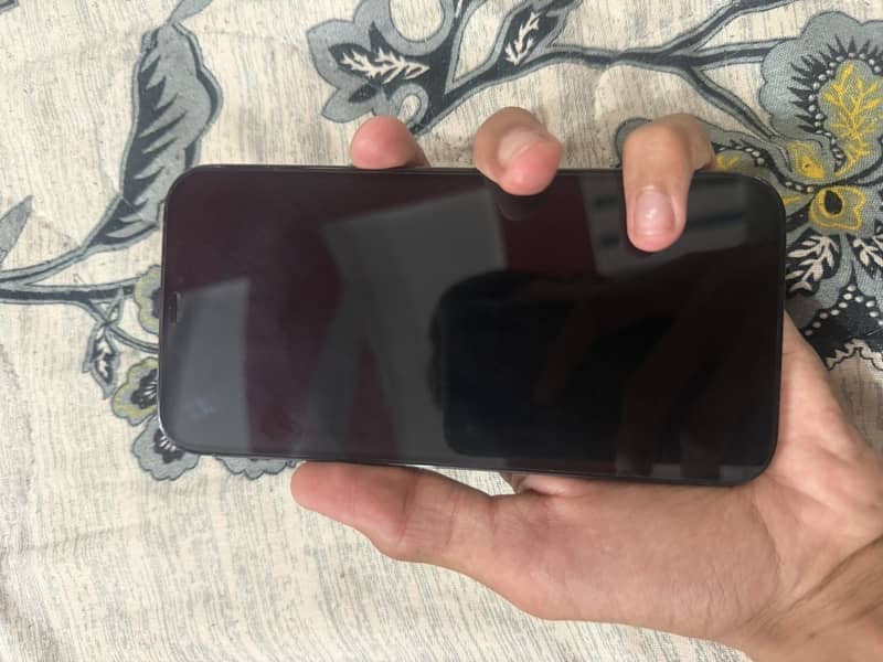 Apple iPhone 12 Pro Max 2