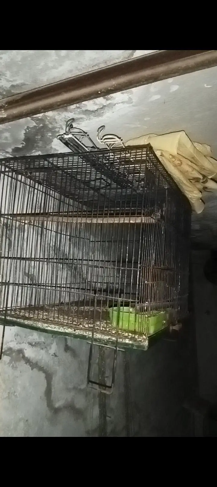 Cage for sale in good condition