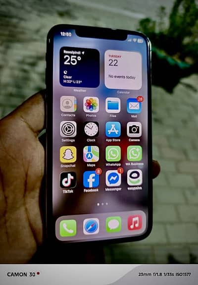 Apple iPhone X