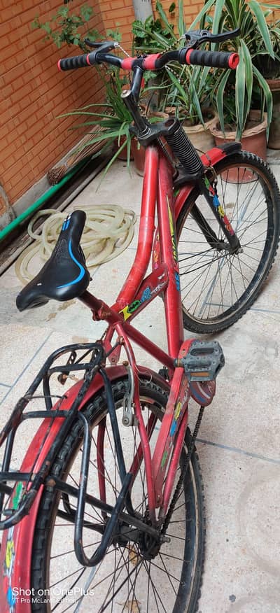 Used Full-Size Kids Bicycle – 03214292027