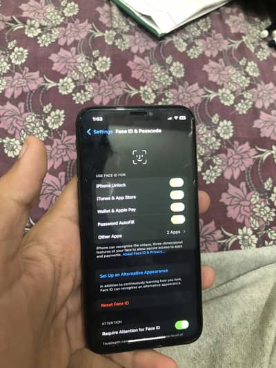 Apple iPhone X
