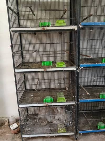 Cages for sale in good condition read add