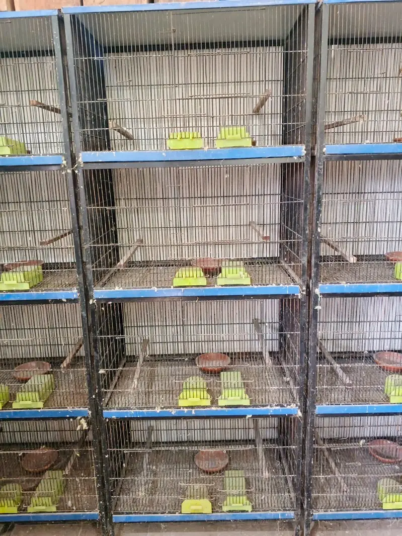 Cages for sale in good condition read add — photo 2