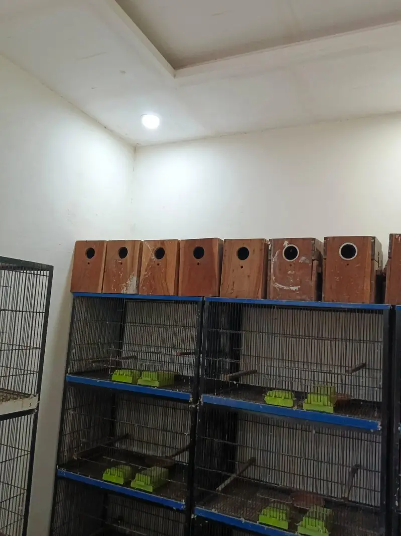 Cages for sale in good condition read add — photo 3