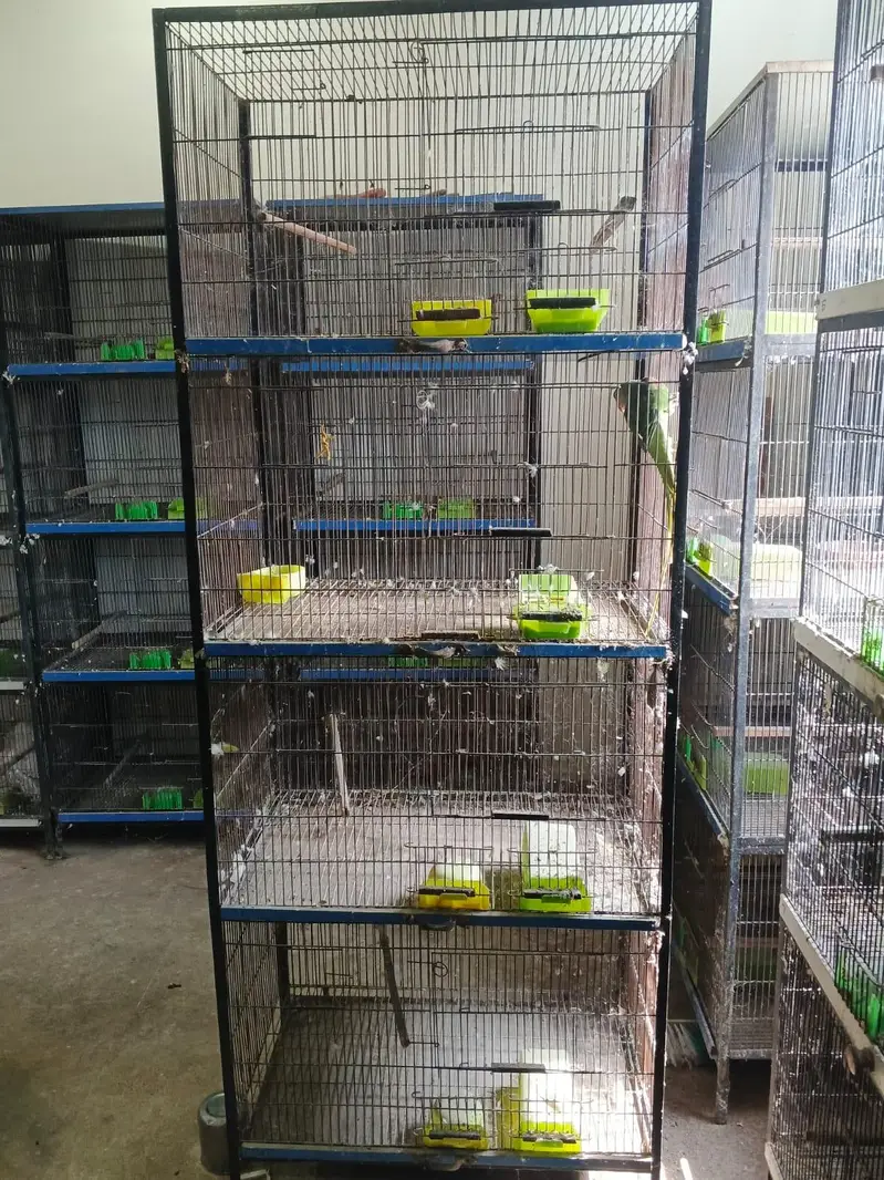 Cages for sale in good condition read add — photo 5