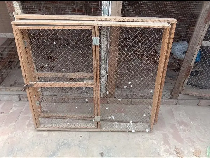 Wooden frame for Aseel Birds