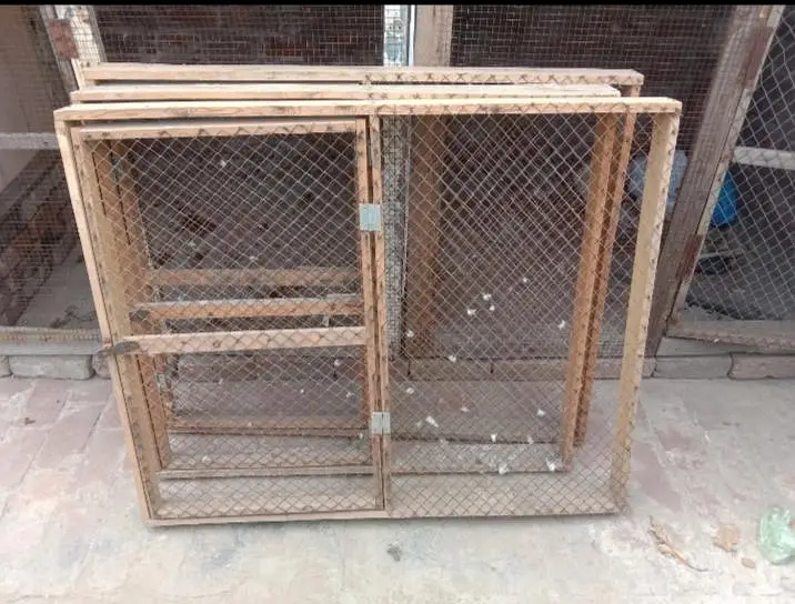 Wooden frame for Aseel Birds — photo 2