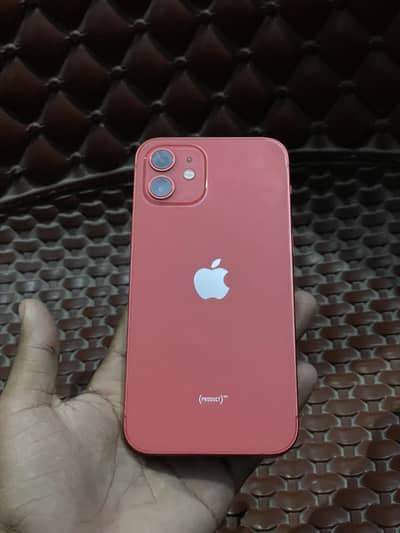 iPhone 12