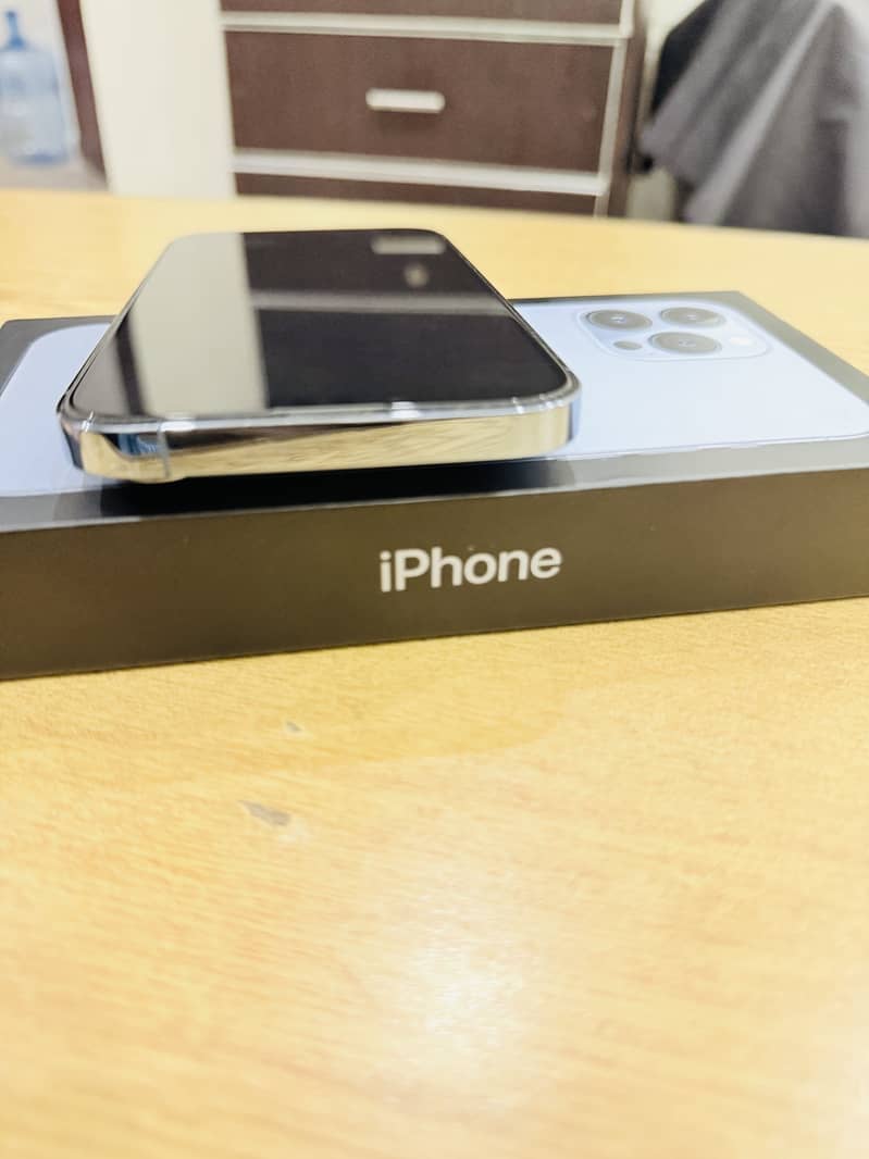 Apple iPhone 13 Pro Max 1