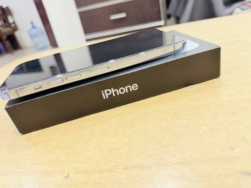 Apple iPhone 13 Pro Max 5