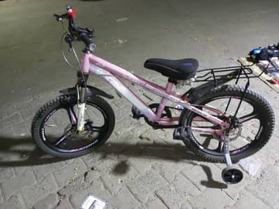 20 inches imported Bicycle
