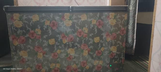 Hair Double door freezer for sale