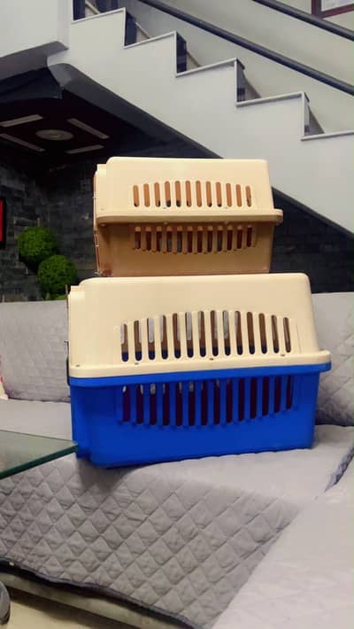 Cats Large & small cage