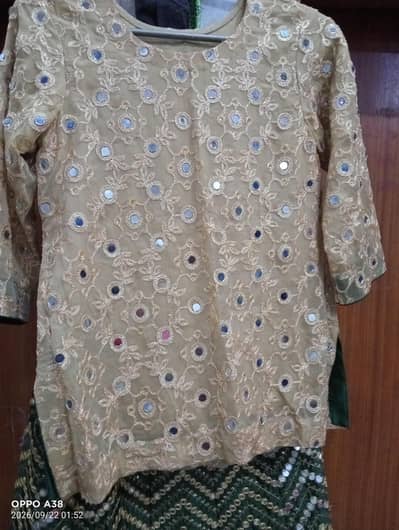 Shirt Shafon| Dupata Net | Mirror work |