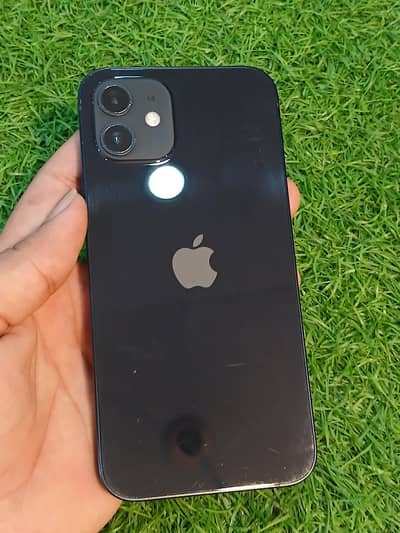 Apple iPhone 12