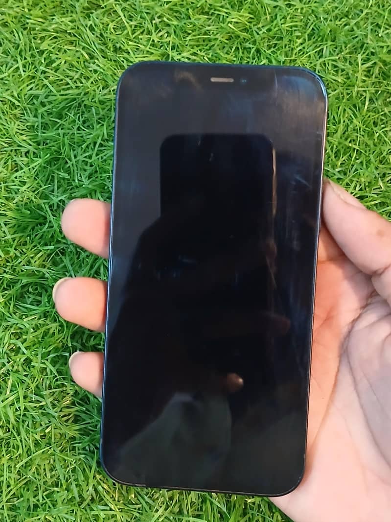 Apple iPhone 12 1