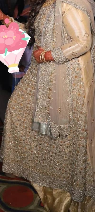 walima tail maxy