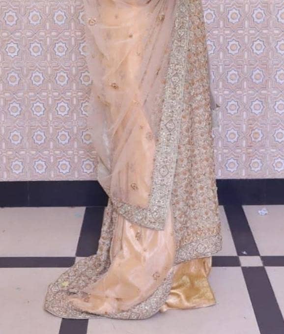 walima tail maxy 1