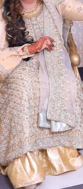 walima tail maxy 2