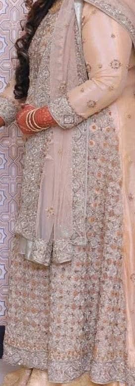 walima tail maxy 3