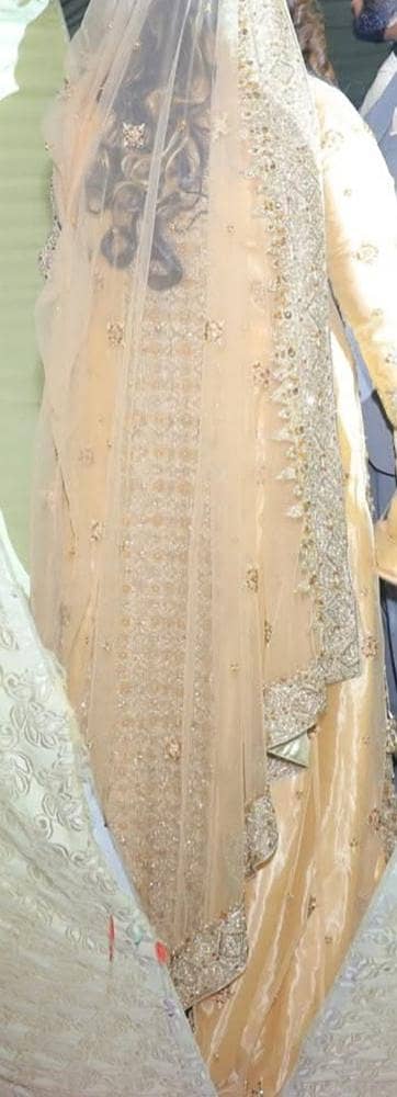 walima tail maxy 4