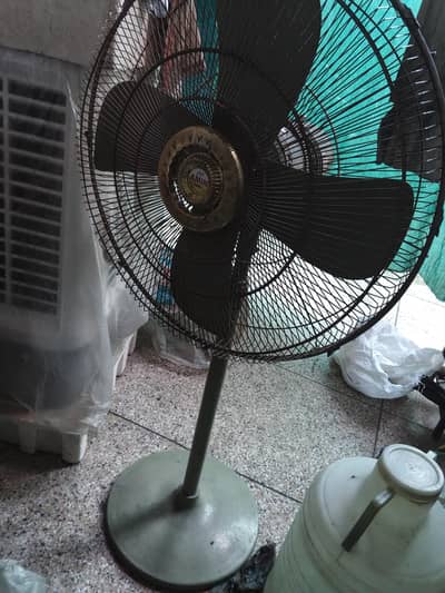 Amin 24" fan