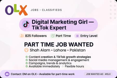 Digital marketing girl   TikTok Expert  shah alam
