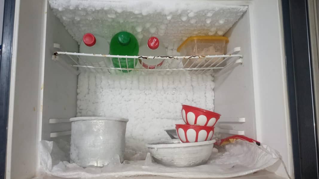 waves refrigerator 1