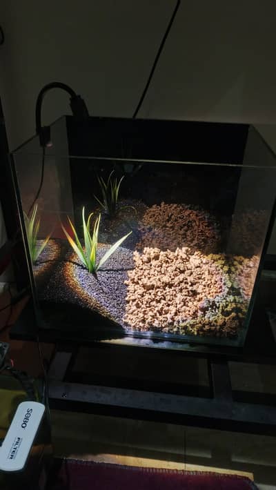Hardscape aquariums (New) What'sapp 03079413993