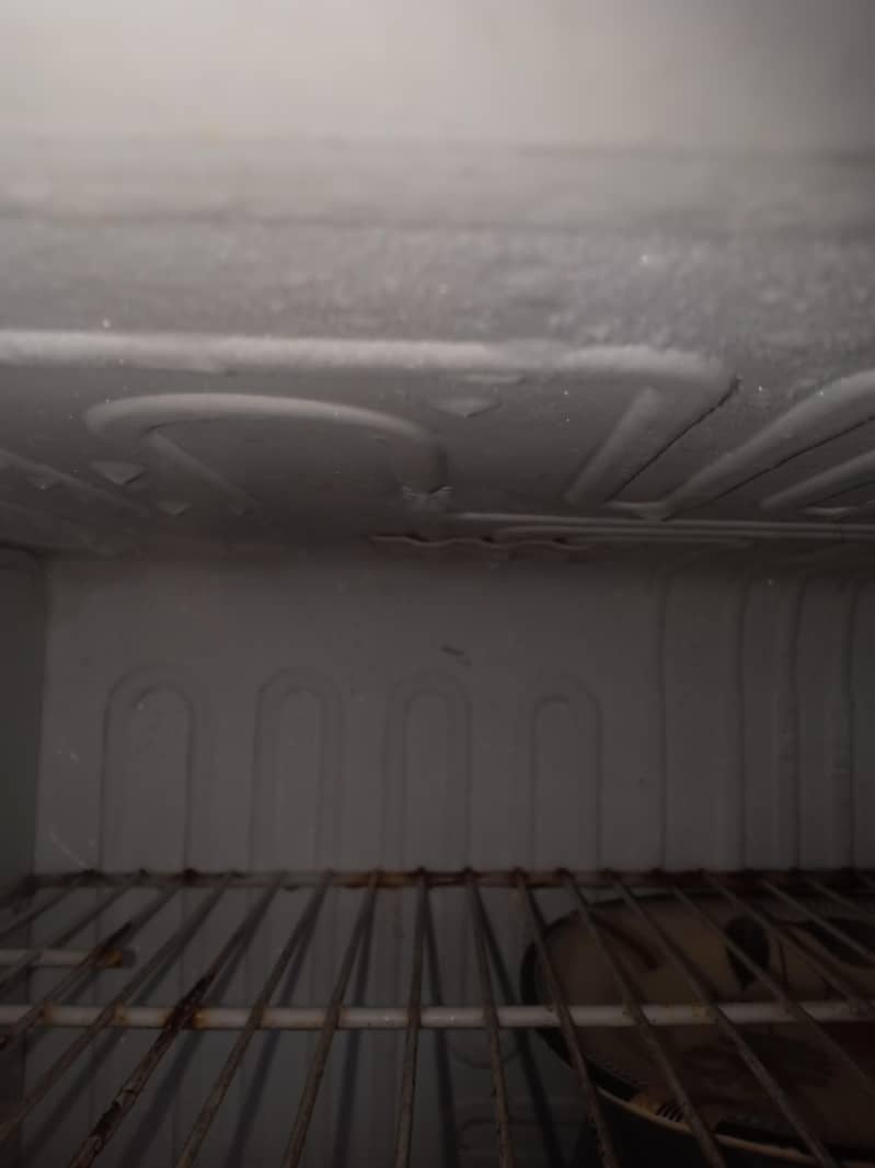 Fridge 4