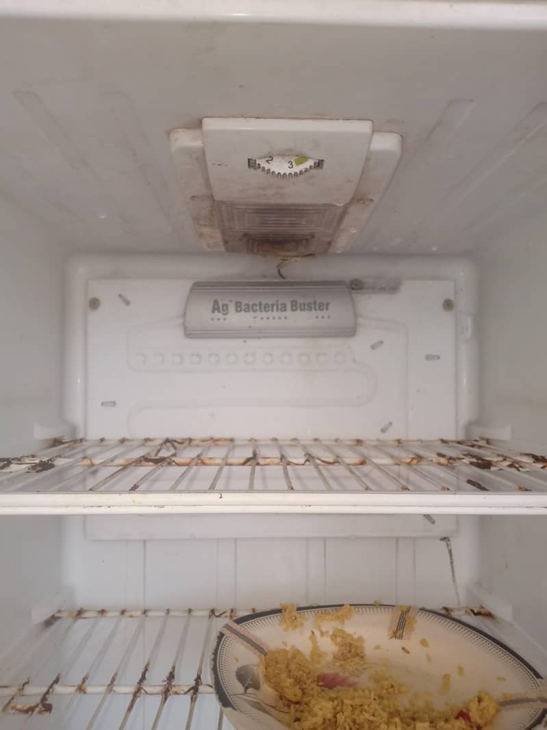 Fridge 5