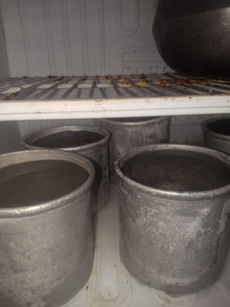 Fridge 6