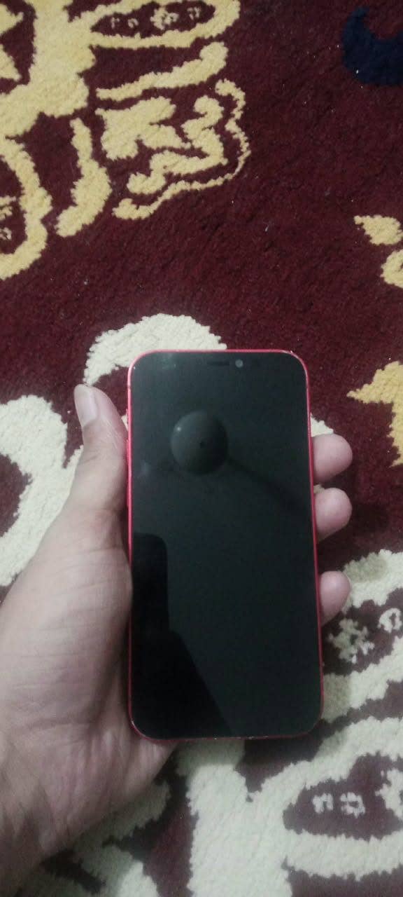 Apple iPhone 12 mini 1