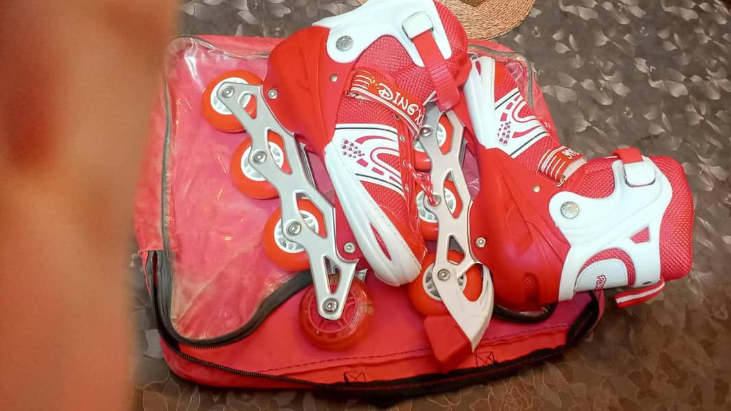 Skating Shoes 1