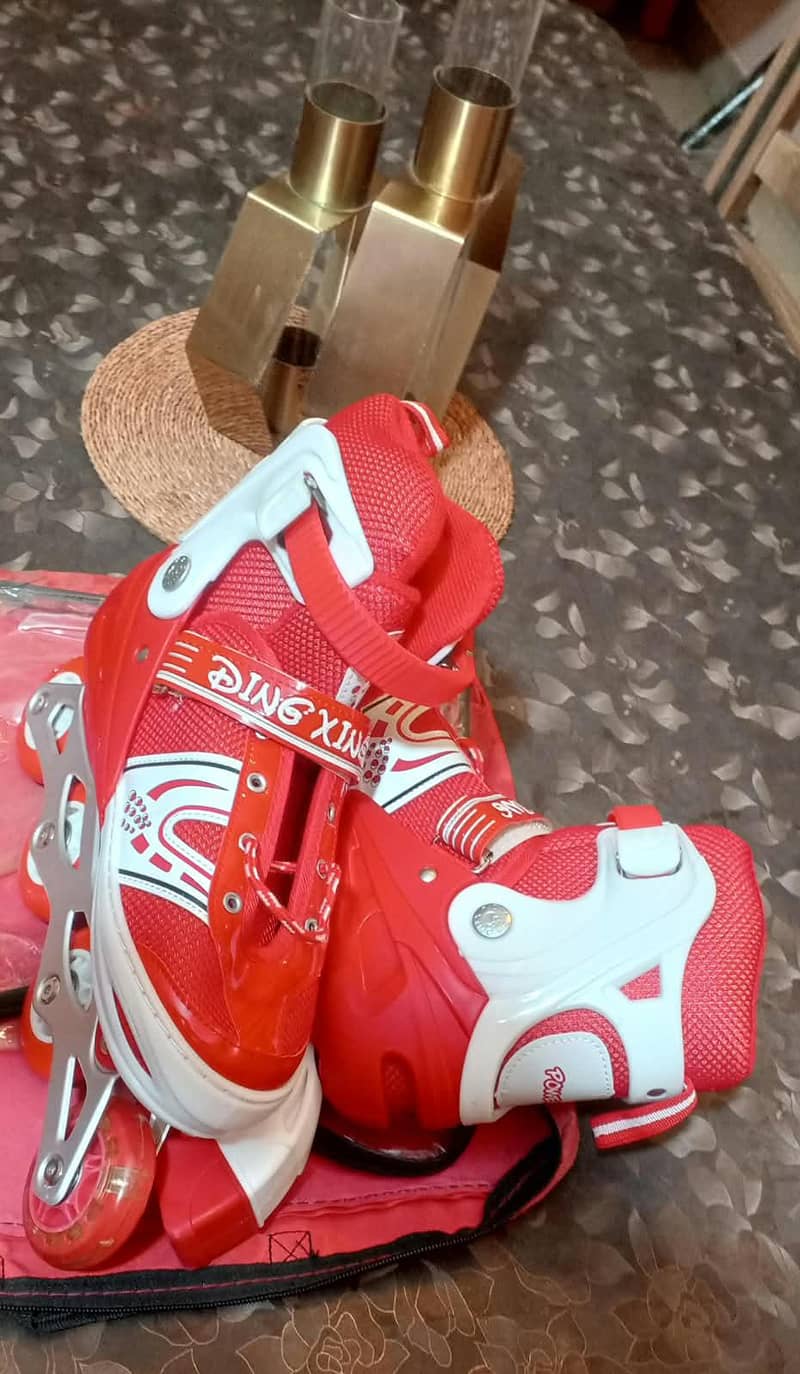 Skating Shoes 2