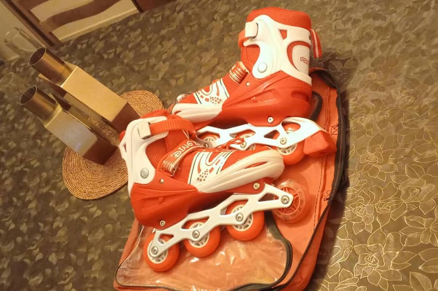 Skating Shoes 3