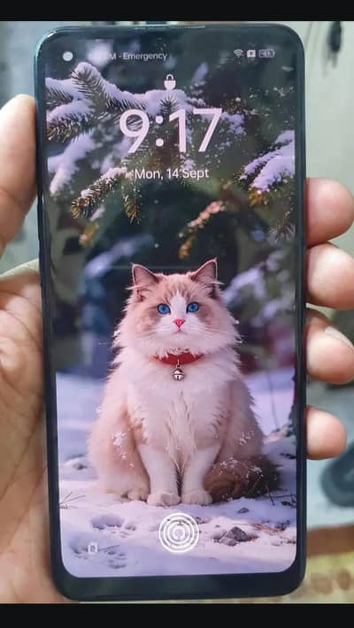 OPPO F21 Pro 0323,6963,876