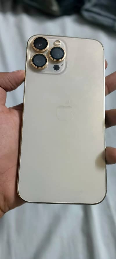 Apple iPhone 13 Pro Max