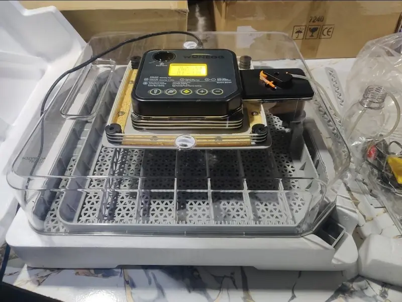 Incubator,Automatic incubators, Brooder, Spareparts & Repairing center — photo 4