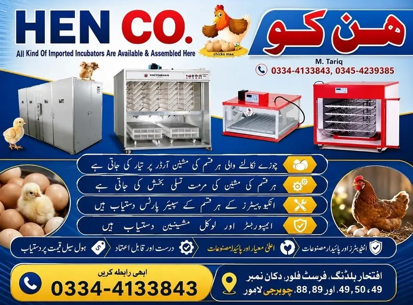 Incubator,Automatic incubators, Brooder, Spareparts & Repairing center — photo 6