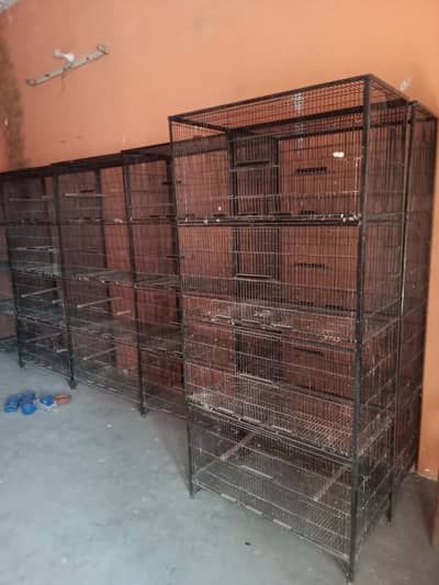 Premium 4 portion cages
