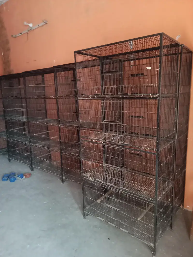 Premium 4 portion cages