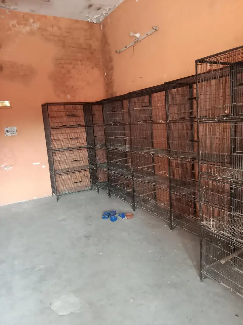 Premium 4 portion cages — photo 2