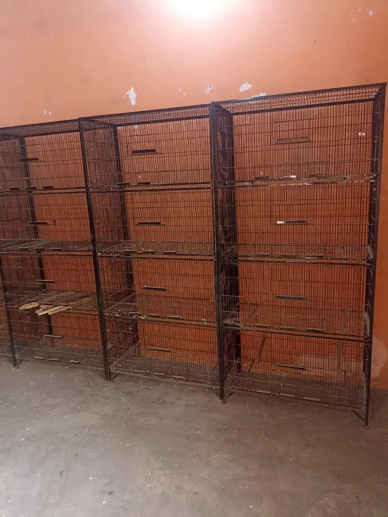 Premium 4 portion cages — photo 3